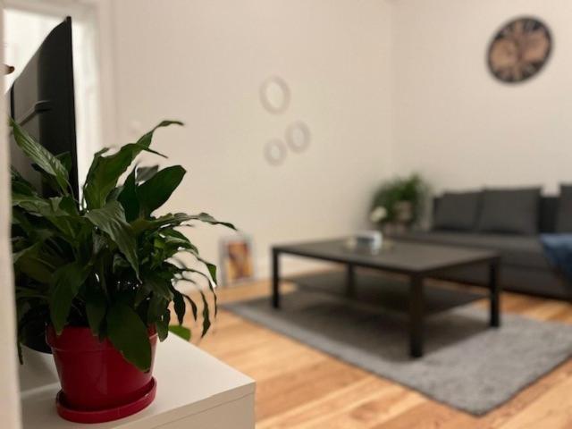 דירות Cosy Rent-Strasbourg Gare 1-Wifi מראה חיצוני תמונה
