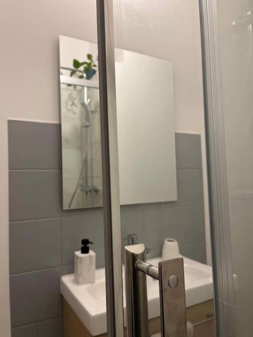 דירות Cosy Rent-Strasbourg Gare 1-Wifi מראה חיצוני תמונה