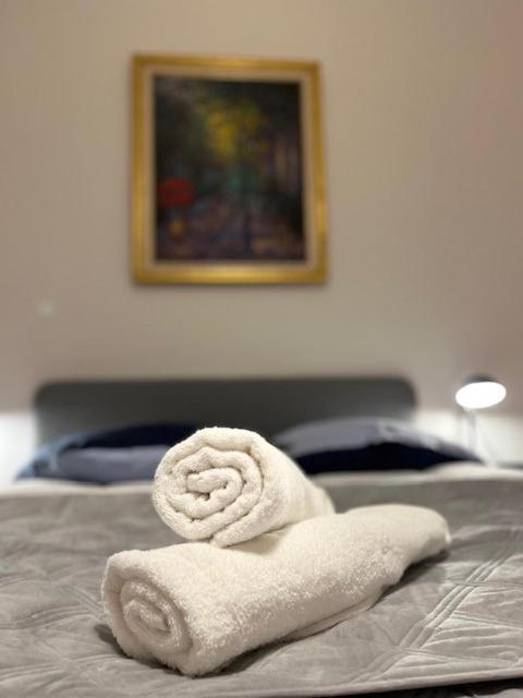 דירות Cosy Rent-Strasbourg Gare 1-Wifi מראה חיצוני תמונה