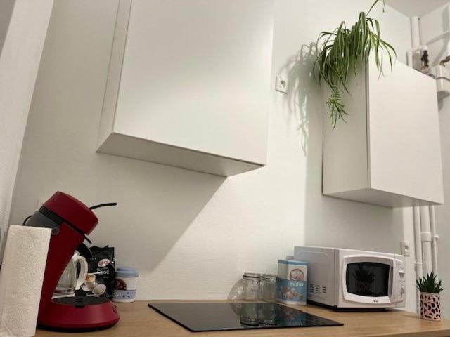 דירות Cosy Rent-Strasbourg Gare 1-Wifi מראה חיצוני תמונה