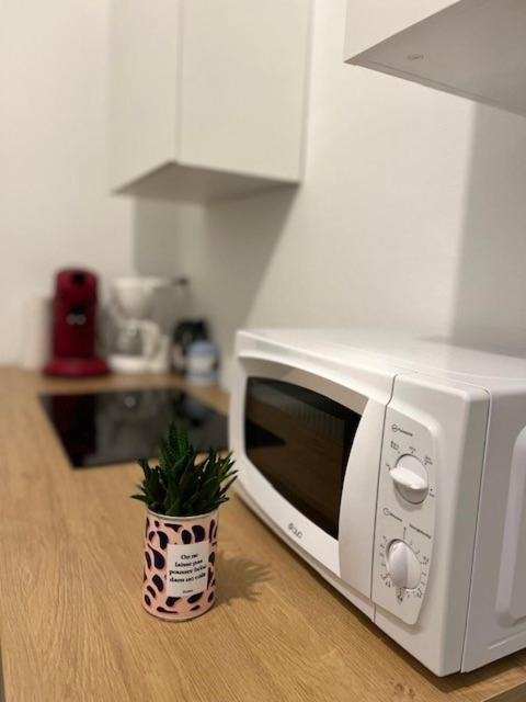 דירות Cosy Rent-Strasbourg Gare 1-Wifi מראה חיצוני תמונה