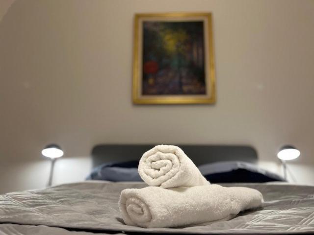 דירות Cosy Rent-Strasbourg Gare 1-Wifi מראה חיצוני תמונה