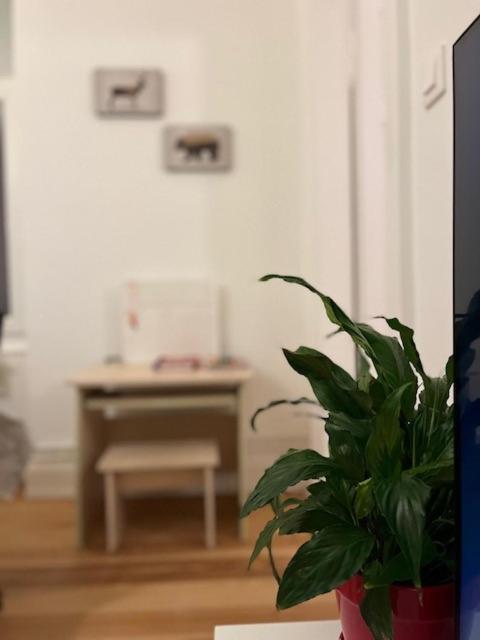 דירות Cosy Rent-Strasbourg Gare 1-Wifi מראה חיצוני תמונה